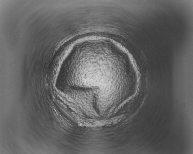 X0000085071497200703261217