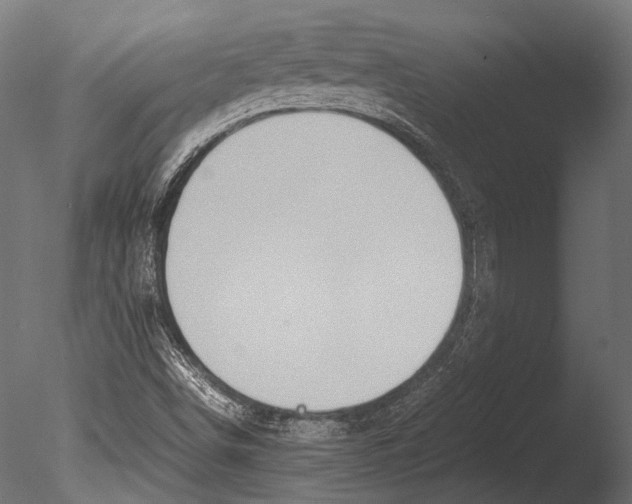 X0000085071498200703261217