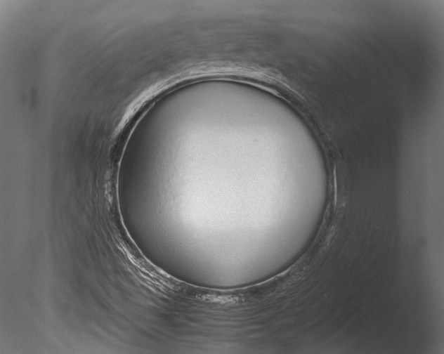 X0000085071501200703261217