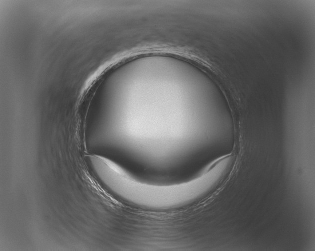 X0000085071502200703261217