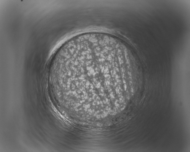 X0000085071504200703261217