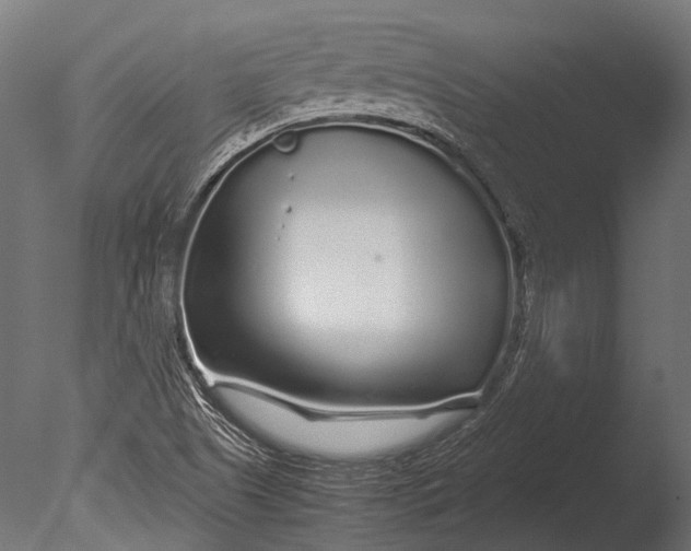 X0000085071505200703261217