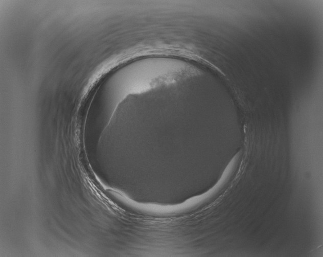 X0000085071506200703261217