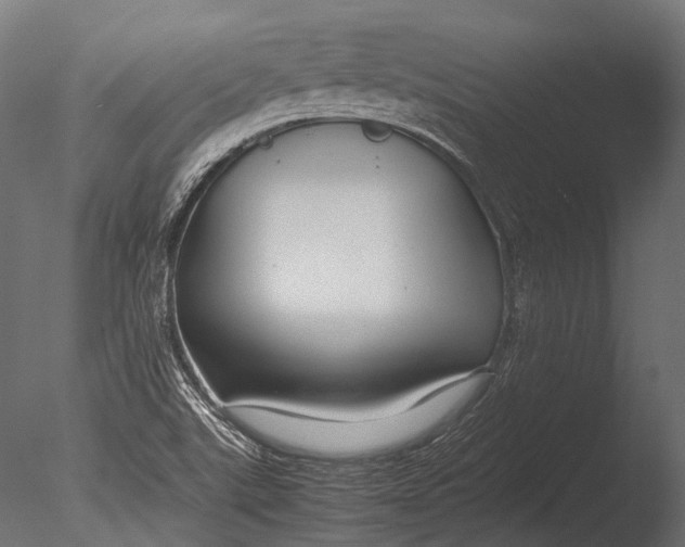 X0000085071507200703261217