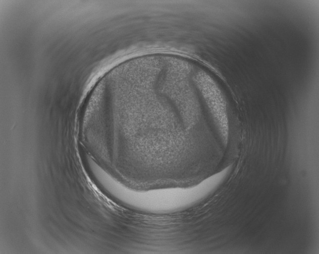 X0000085071508200703261217