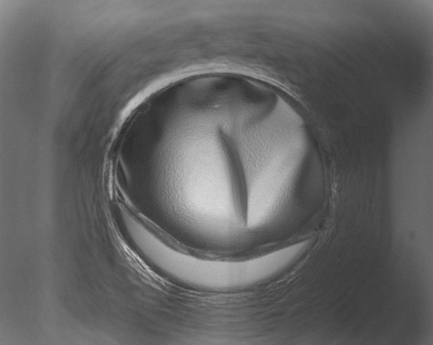 X0000085071510200703261217