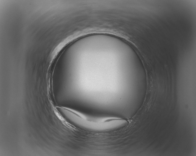 X0000085071511200703261218