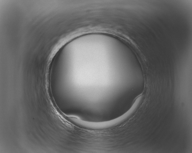 X0000085071512200703261218