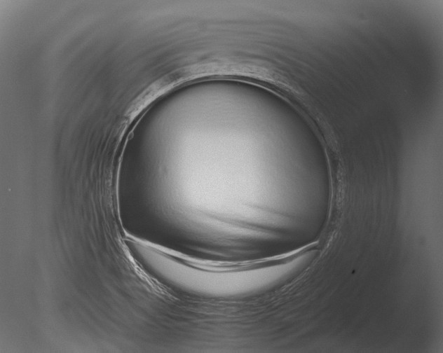 X0000085071513200703261218