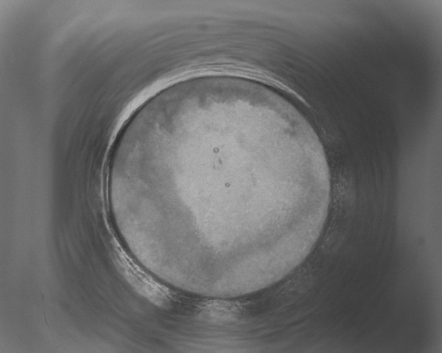 X0000085071514200703261218