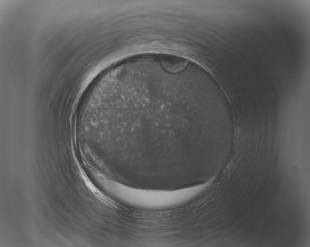 X0000085071515200703261218