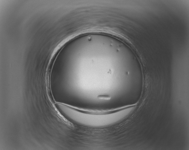 X0000085071517200703261218