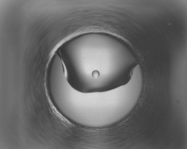 X0000085071518200703261218