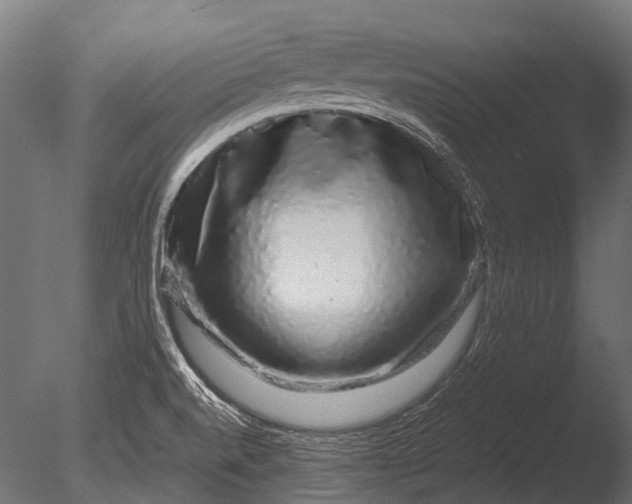 X0000085071520200703261218