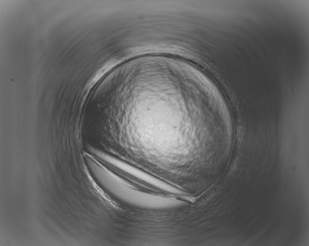 X0000085071521200703261218