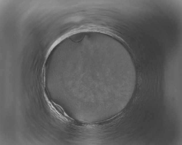 X0000085071522200703261218