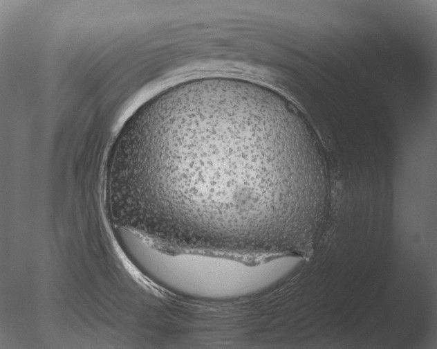 X0000085071523200703261218