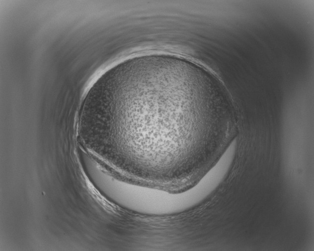 X0000085071524200703261218