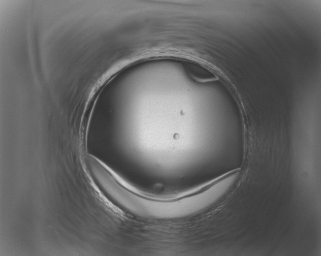 X0000085071525200703261218