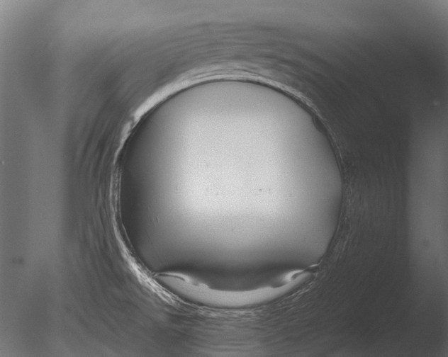 X0000085071526200703261218