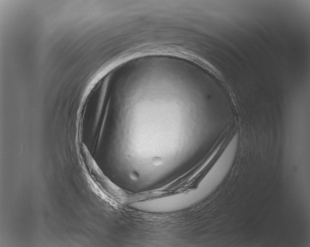 X0000085071528200703261218