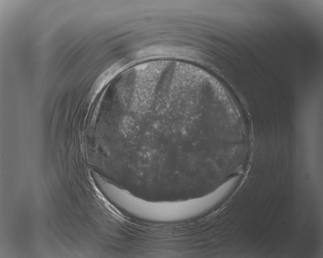 X0000085071529200703261218