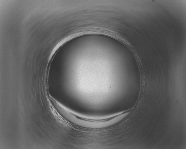 X0000085071530200703261218