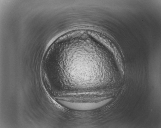 X0000085071533200703261218