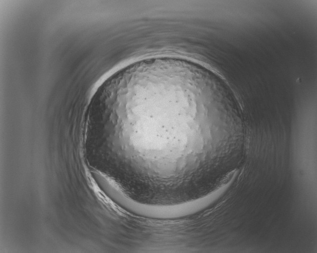 X0000085071534200703261218