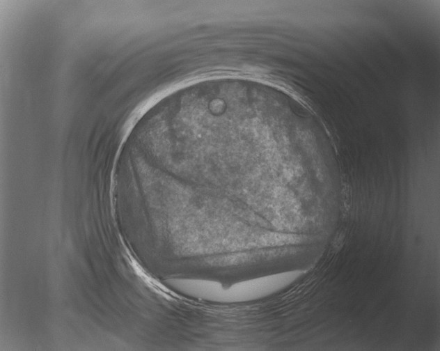 X0000085071535200703261218