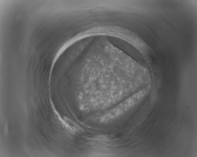 X0000085071536200703261218