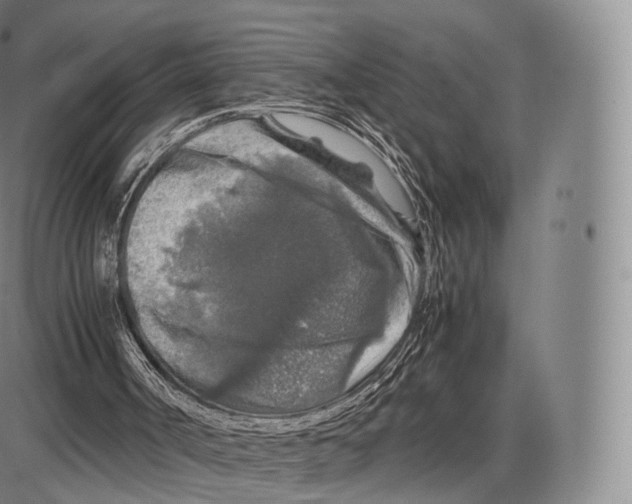 X0000085070002200704021423