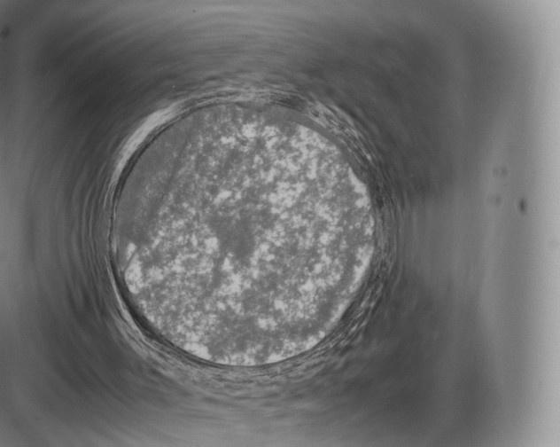 X0000085070003200704021423