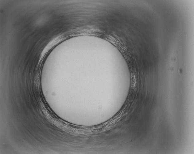 X0000085070004200704021423