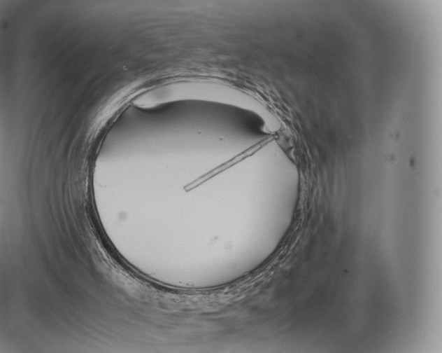 X0000085070005200704021423