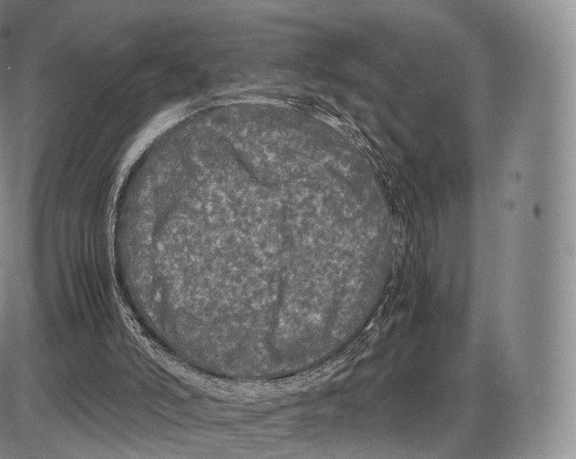 X0000085070006200704021423