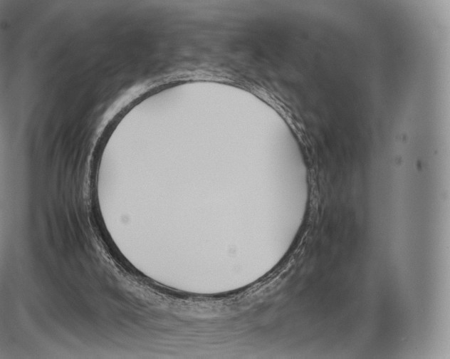 X0000085070008200704021423