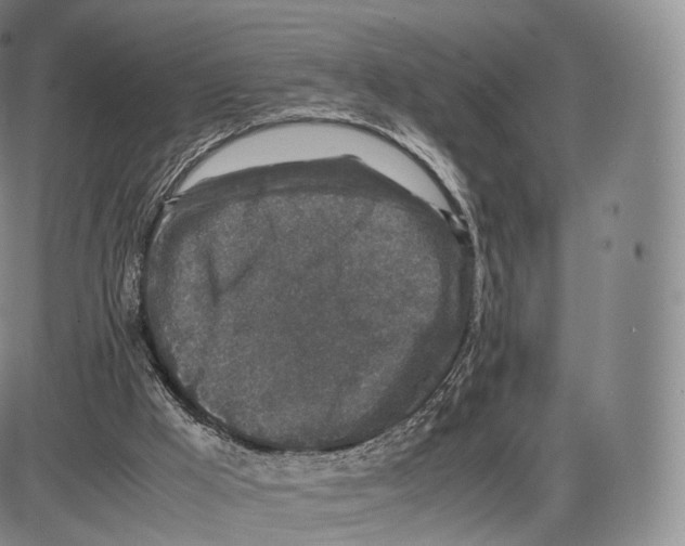 X0000085070009200704021423