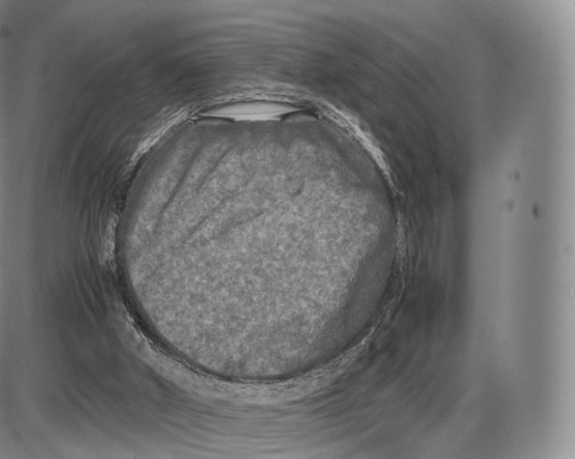 X0000085070010200704021423