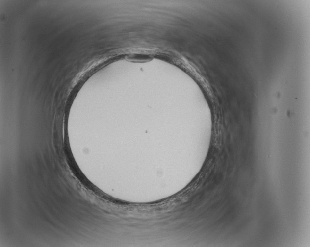 X0000085070011200704021423