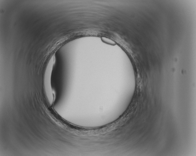 X0000085070013200704021423