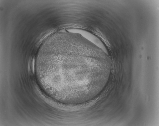 X0000085070014200704021423