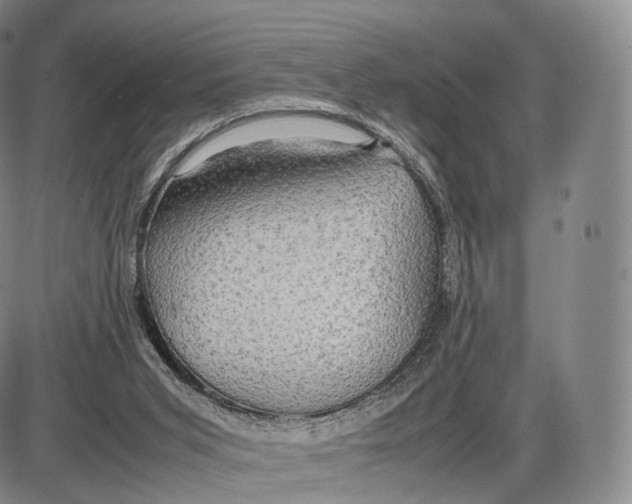 X0000085070015200704021423