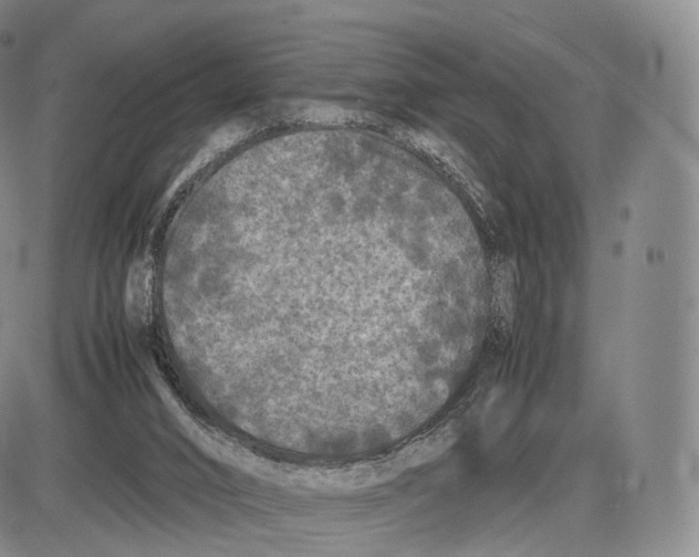 X0000085070016200704021423