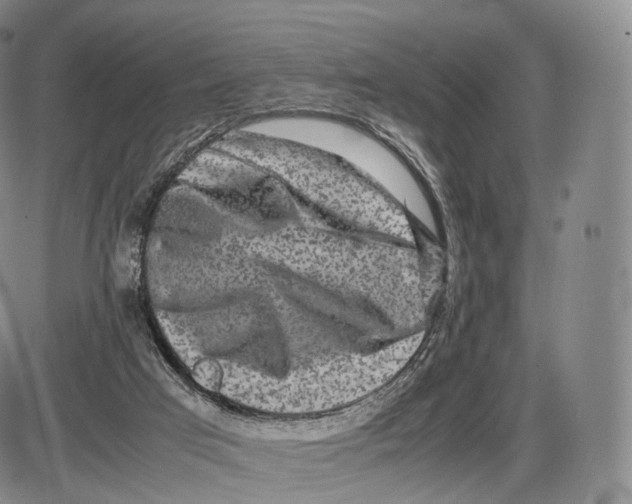 X0000085070017200704021423