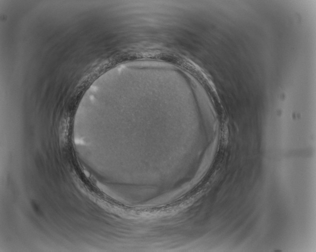 X0000085070018200704021423