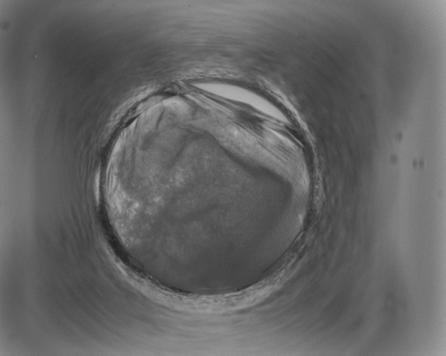 X0000085070019200704021423