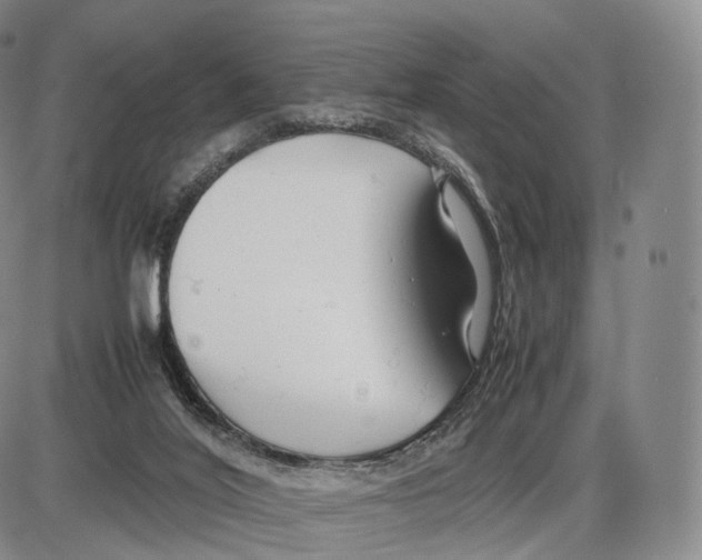 X0000085070020200704021422