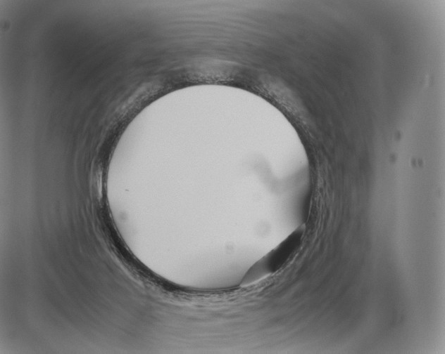 X0000085070021200704021422