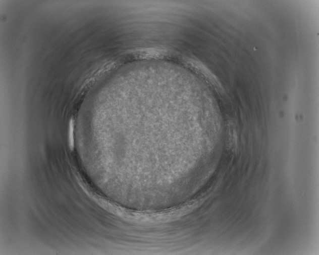 X0000085070022200704021422